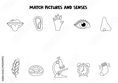 Match objects and senses. Educational logical game for kids. Five senses worksheet.