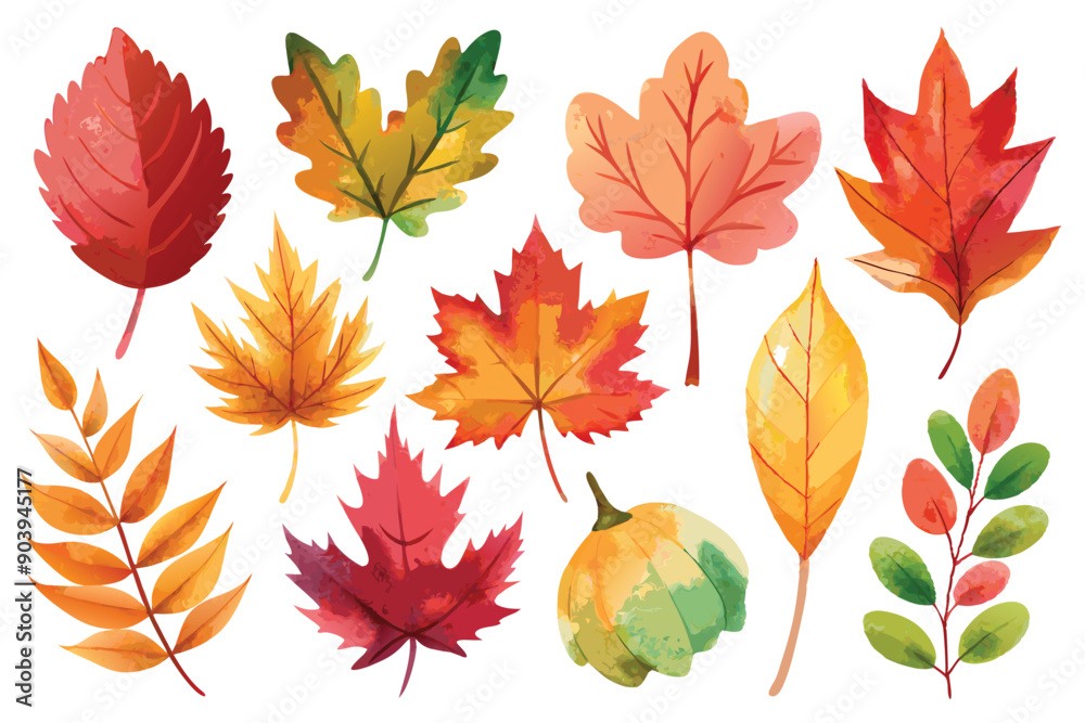 Adobe Illustrator Artwork Adobe Illustrator Artwork