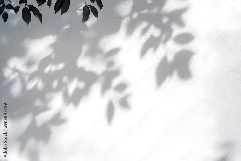 shadow and tree branch background. Natural leaves tree branch dark shadow and light from sunlight dappled on white concrete wall texture shadow and tree branch background. Natural leaves tree branch dark shadow and light from sunlight dappled on white concrete wall texture