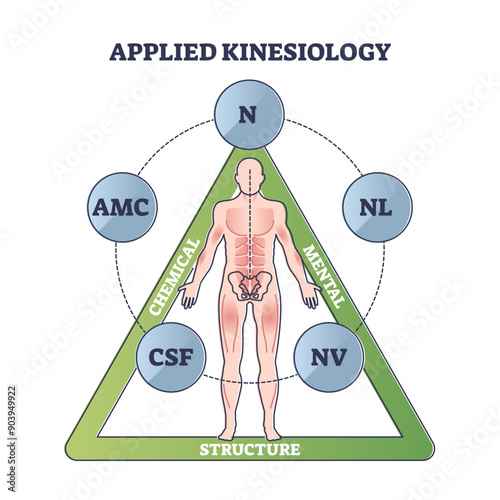 Applied kinesiology as technique for diagnose and treatment outline diagram, transparent background. Illness rehabilitation explanation with chemical, mental and structure scheme.