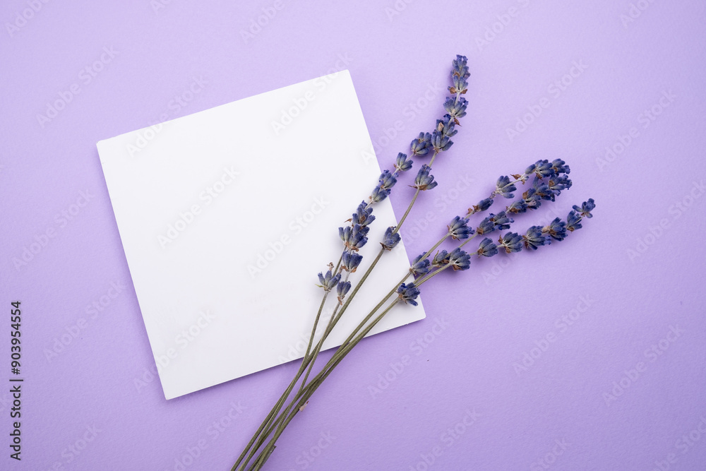 Paper greeting card with lavender flowers on color background, top view. Paper card mockup with copy space for design, print, wedding and invitation. International Women's Day, Mother's Day concept Paper greeting card with lavender flowers on color background, top view. Paper card mockup with copy space for design, print, wedding and invitation. International Women's Day, Mother's Day concept