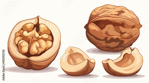 Walnut Icon: Whole and Open Nuts - Healthy Food