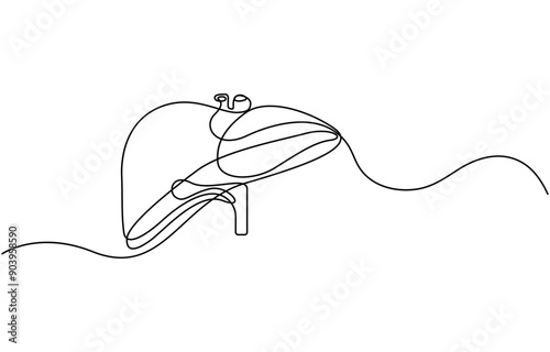 Continuous one line drawing of human lungs. One line of anatomical human lungs. Medical internal concept continuous line art, Liver human organ drawn by one line. Anatomical sketch.