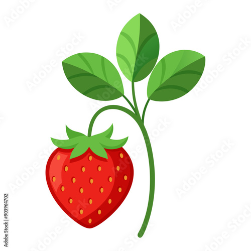 strawberry colorful fruit. Modern abstract flat style. Natural tropical fruit. Vector illustration