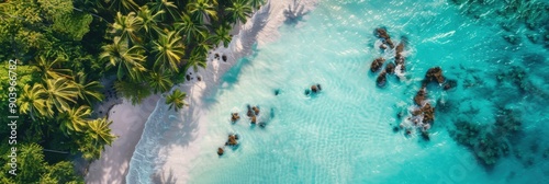 Caribbean Vacation: Aerial Drone View of Tropical Island with Palms and Turquoise Water photo