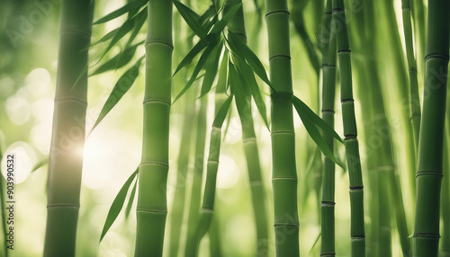 Serene image of bamboo leaves with sunlight filtering through, creating a peaceful scene 