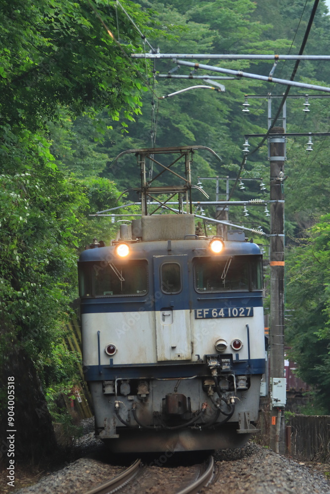 Naklejka premium 新緑が美しい初夏の中央西線を力強く走るEF64形牽引の貨物列車(81レ)_2024/7/6撮影