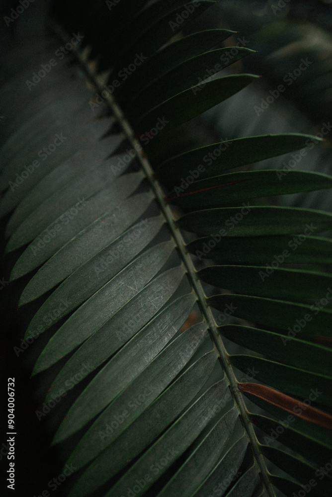 Naklejka premium background of a leaf