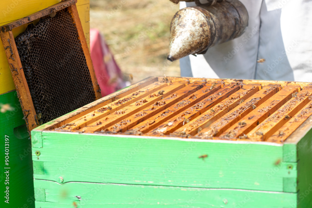 Beekeeper smokes bee frames in a box Beekeeper smokes bee frames in a box