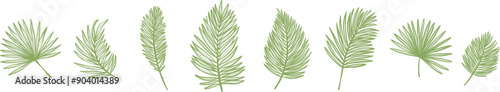 Plam leaf banner design, line art elegant foliage tropical doodles, vector illustration set
