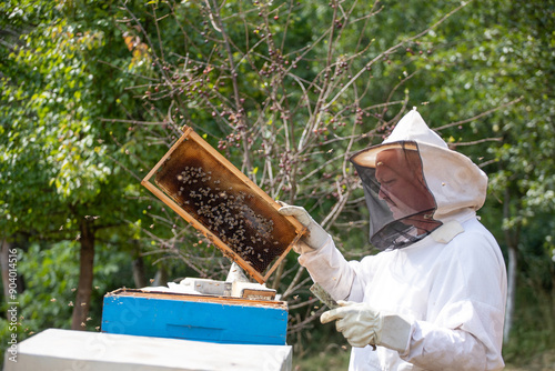 Beekeeper working in the apiary