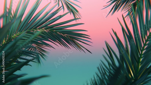 Tropical Palm Leaves Against Vibrant Sunset Sky