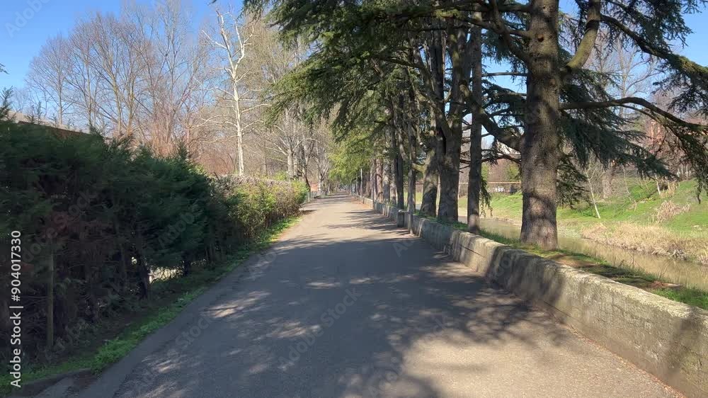 Reggio Emilia goat park walk along Crostolo. High quality 4k footage Reggio Emilia goat park walk along Crostolo. High quality 4k footage