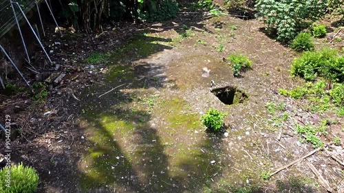 Neglected Overgrown Land with Moss and Hole - Kerto Site, Yogyakarta