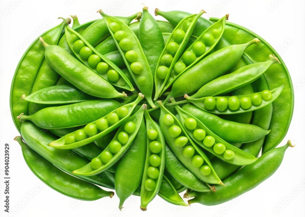 Fresh bright green snow peas isolated on transparent background, delicately arranged in a circular pattern, showcasing their tender pods and vibrant green color. Fresh bright green snow peas isolated on transparent background, delicately arranged in a circular pattern, showcasing their tender pods and vibrant green color.