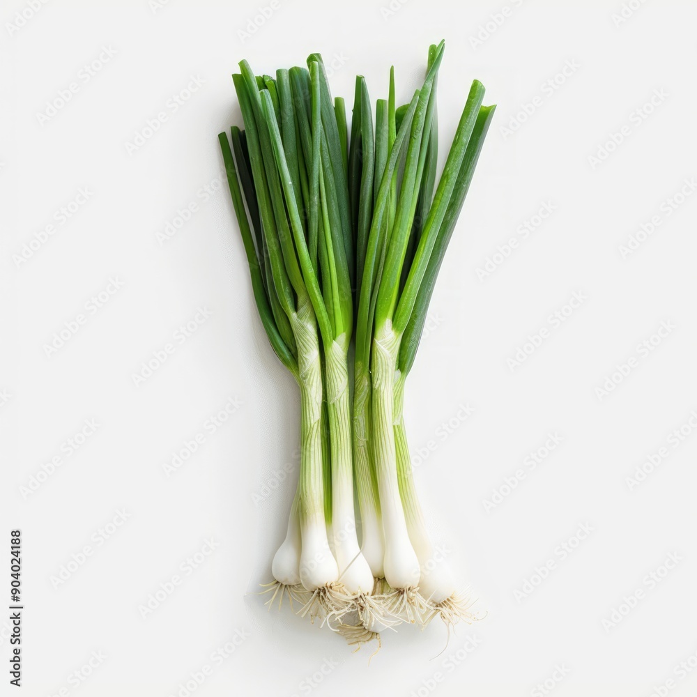 Medium shot of Green onions bunch, isolated on a white background, bright and vivid tonality, Medium shot of Green onions bunch, isolated on a white background, bright and vivid tonality,