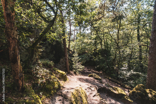 Dörenther Klippen - Ibbenbüren - Teutoburger Wald photo