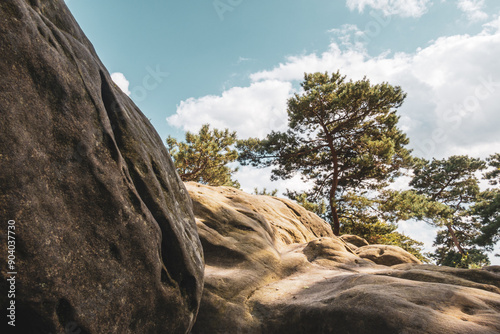 Dörenther Klippen - Ibbenbüren - Teutoburger Wald photo