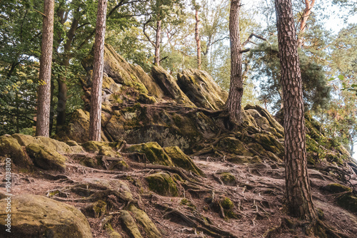 Dörenther Klippen - Ibbenbüren - Teutoburger Wald photo