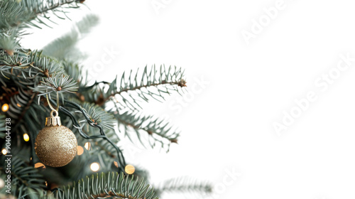 Christmas tree branches border garland on transparent background photo