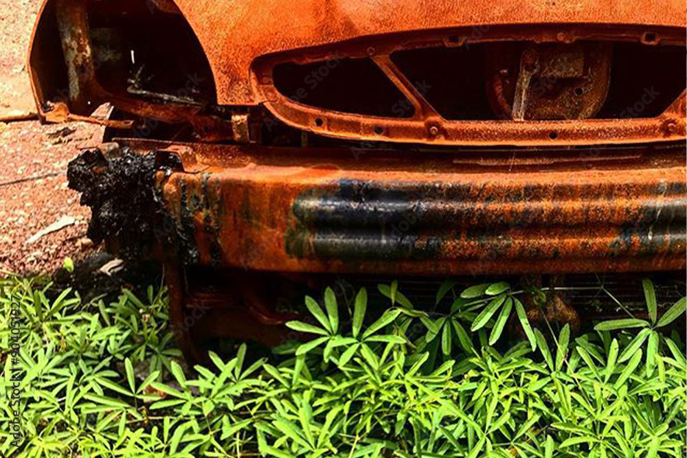 An abounded rusty car found in Tropical bush lands in Darwin NT Australia, I love the contrast between the deep orange rust and the vibrant green that is all over the Top End An abounded rusty car found in Tropical bush lands in Darwin NT Australia, I love the contrast between the deep orange rust and the vibrant green that is all over the Top End