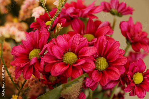 ensemble de fleurs rose