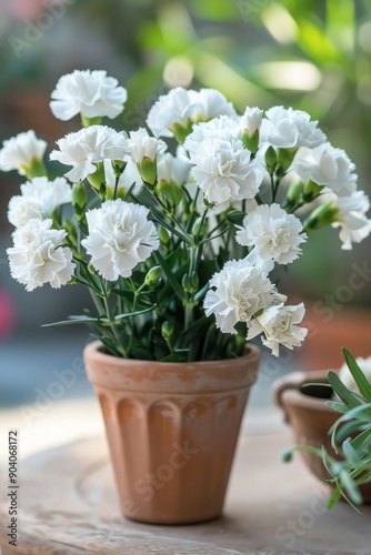 Wallpaper Mural Potted carnation flowers Torontodigital.ca