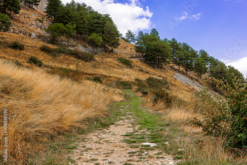 the breathtaking green panoramas that can be admired in Roccamandolfi, a small medieval village in Molise photo