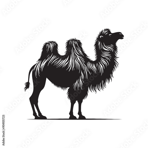 Superior Camel Silhouette Vector Minimalist Camel Silhouette Minimalist Camel Vector
