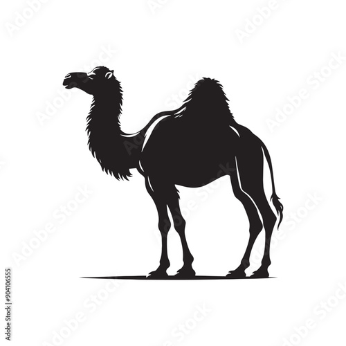 Bold Silhouette of Camel Camel Silhouette Camel Illustration
