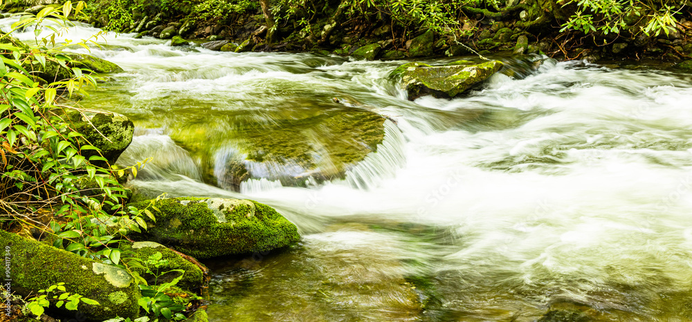 Roaring Fork Stream Cascading Over Moss Covered Boulders, Roaring Fork Nature Trail, Great Smoky Mountains National Park, Tennessee, USA Roaring Fork Stream Cascading Over Moss Covered Boulders, Roaring Fork Nature Trail, Great Smoky Mountains National Park, Tennessee, USA