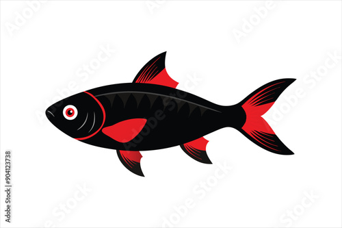 Black Ruby Barb fish Vector artwork illustration