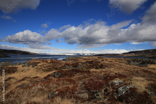 Landschaftsbild auf Island, Fjord 