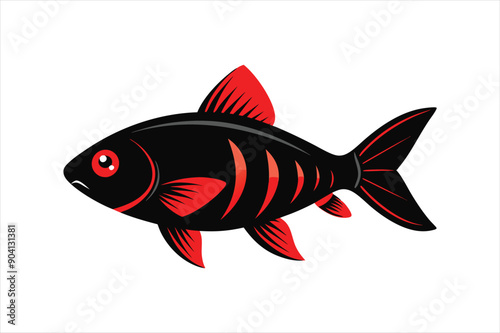 Black Ruby Barb fish Vector artwork illustration