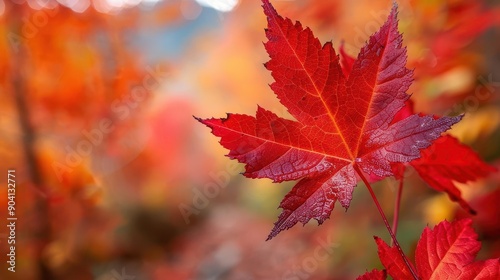 Red maple leaves with intricate detail, botanical background close up, autumn day, vibrant, manipulation, mountain trail, copy space for text