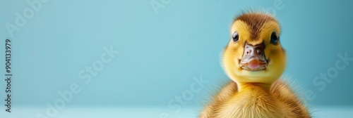  Adorable Flabbergasted Duck in a Pastel Blue Replicant Space, an AI-Generated Image Capturing Cuteness and Surprise. photo