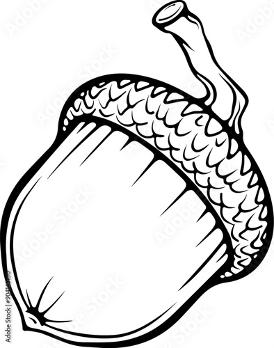 One acorn oak tree nut with a cap. Autumn design element. Vector illustrations in hand drawn sketch style isolated on white. Black outline graphic for print, coloring book