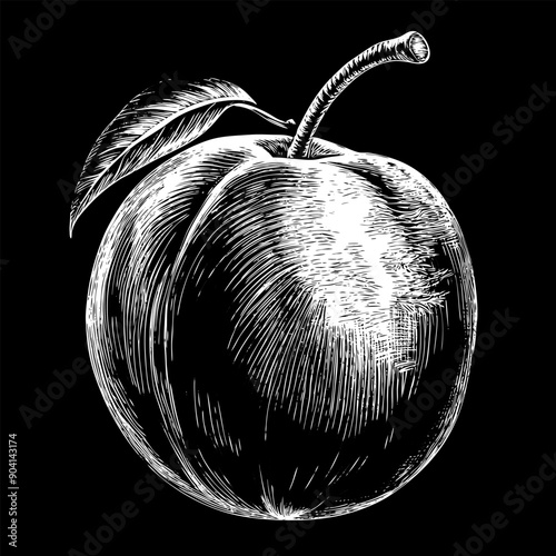 A black and white drawing of a peach with a stem