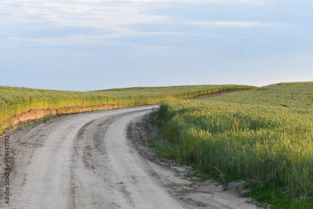 Dirt road in the countryside running between the green cereal fields. Agricultural summer scenery. Selective focus. Dirt road in the countryside running between the green cereal fields. Agricultural summer scenery. Selective focus.
