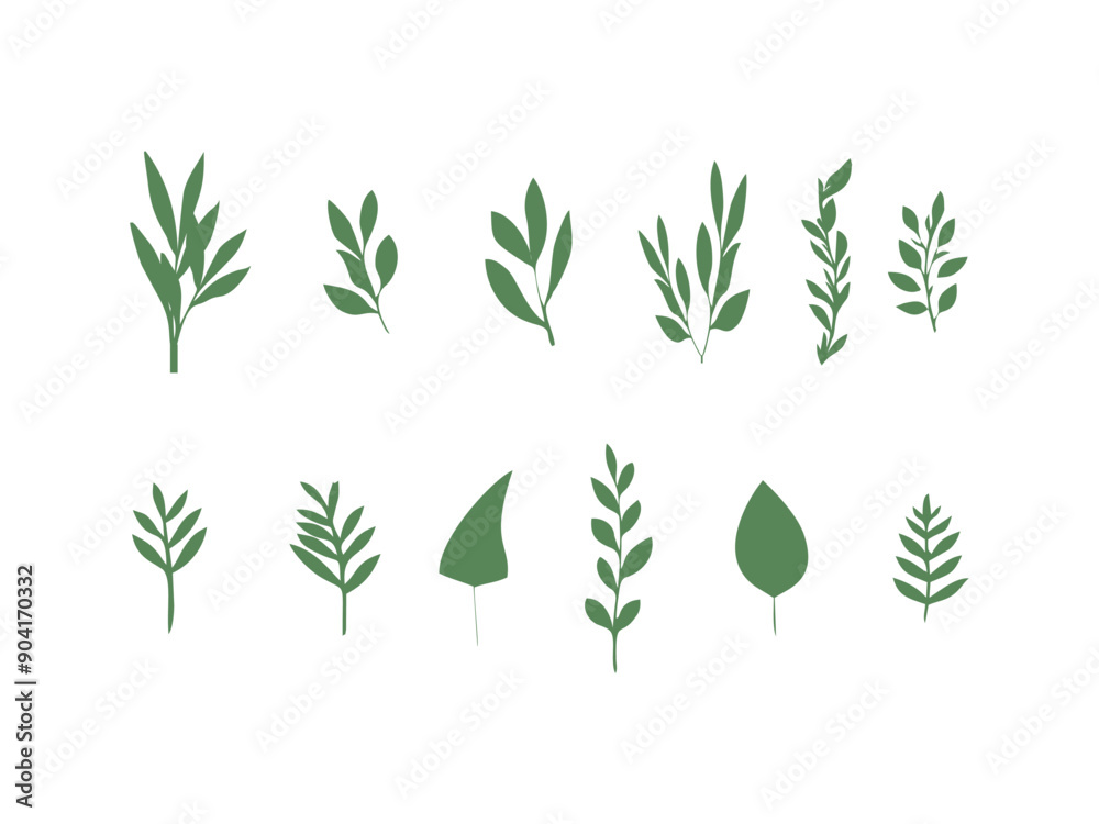 collection of simple leaves isolated on a white background collection of simple leaves isolated on a white background
