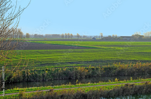 View over the green fields in the polder landscape with blue sky in Sluis, the Netherlands