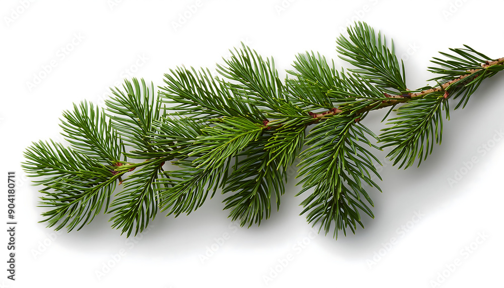 Fir Tree Branch- Fir tree branch isolated on white, detailed with a clipping path to show n_1(117) Fir Tree Branch- Fir tree branch isolated on white, detailed with a clipping path to show n_1(117)