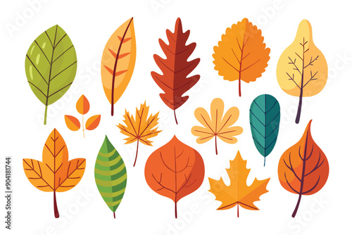 Collection of Colorful Autumn Leaves in Various Shapes and Sizes