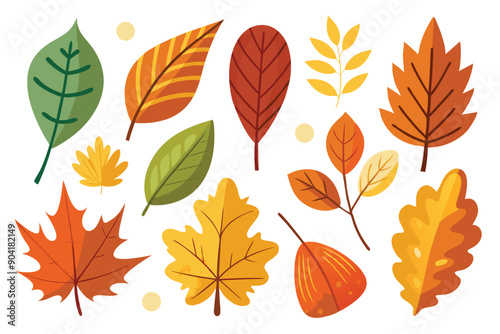 Collection of Colorful Autumn Leaves with White Background