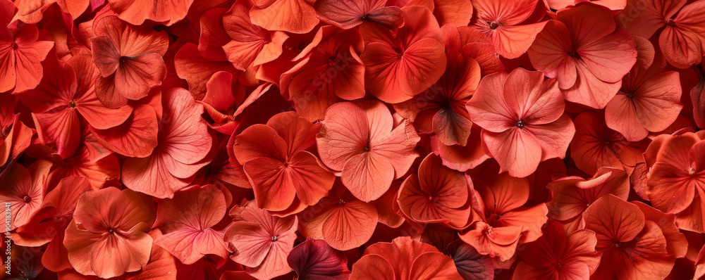 An intricate look at red geranium petals, scattered on a floral backdrop, emphasizing their bright hue and delicate form. An intricate look at red geranium petals, scattered on a floral backdrop, emphasizing their bright hue and delicate form.