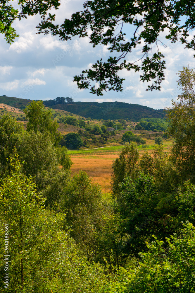 Nature, countryside and forest trees in spring, natural park and sustainable environment for growth or peacefulness. Landscape, calm and ecology in Denmark with field, harmony valleys and clouds Nature, countryside and forest trees in spring, natural park and sustainable environment for growth or peacefulness. Landscape, calm and ecology in Denmark with field, harmony valleys and clouds