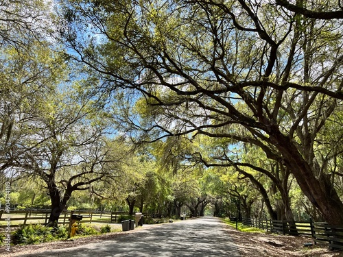 Country Road