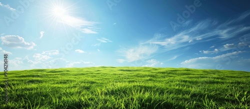 Fototapeta Naklejka Na Ścianę i Meble -  Sunny blue sky over fields with lush green grass creates a serene spring nature scene in the beautiful landscape ideal for a copy space image