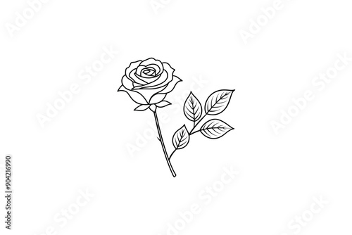 Rose flower for design element and coloring book pages for kids photo