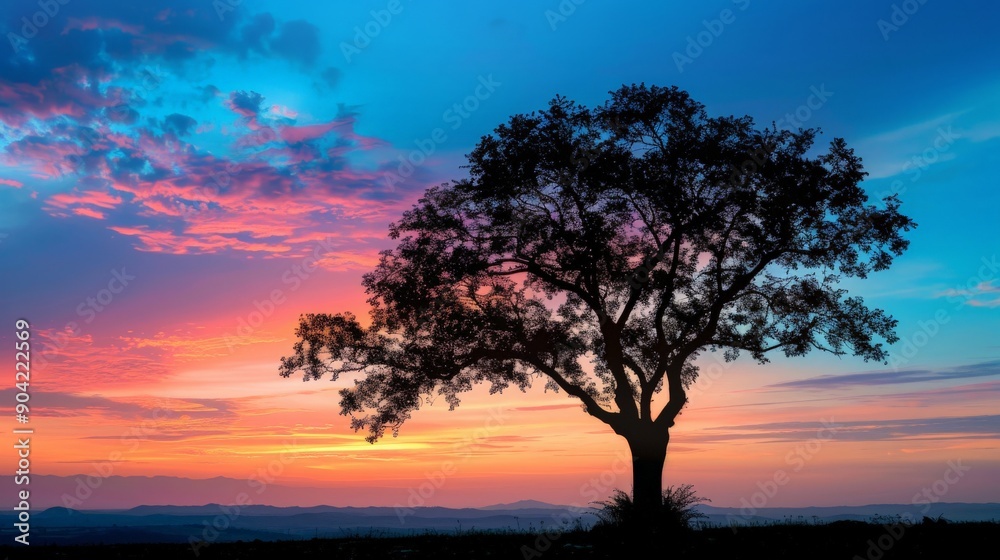 Silhouette of a tree against a vibrant sunset sky Silhouette of a tree against a vibrant sunset sky